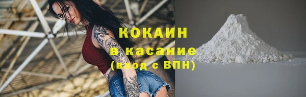 шишки Абинск