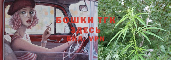 шишки Абинск